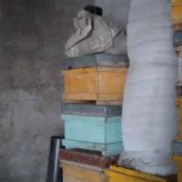 کندوی زنبور عسل