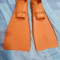کفش شنا (فین)