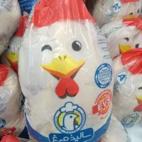 مرغ سالیذکیلو300