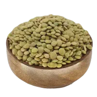 عدس و کاه عدس محلی