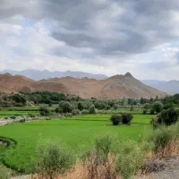بومگردی در کلات / ویلایی و دربست