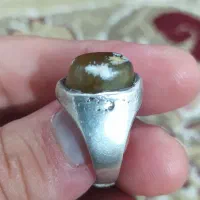 انگشتر شجر قدیمی