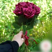 گل رز ربانی(شاین و تاج رایگان)