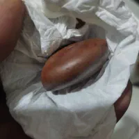درب باغی