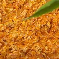 پیاز داغ عمده بینظیر خوشرنگ یکدست