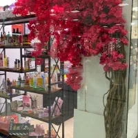 قفسه و دکور مغازه