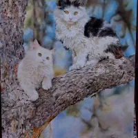تابلو نقاشی