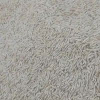 فروش جو بومی سرحد کیسه شده