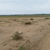 زمین کشاورزی،باغ شهری