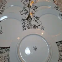 بشقاب پلوخوری درحدنو