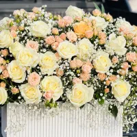 عکاسی در فضای باز