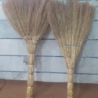 جارو و بذر جارو