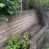 کلاردشت ۱۱۰متر ۳خواب بینظیر