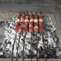 نیروی خانم کبابی