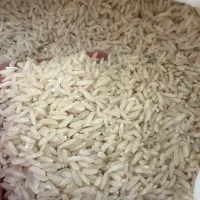 بازاریابی و فروش برنج