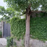 فروش-باغ-درکلاردشت