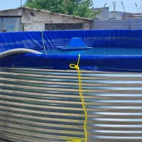 استخدام بازاریاب جهت فروش ماهی