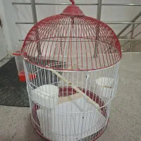 قفس پرنده در حد نو