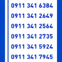 09113416384
