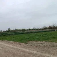 زمین باغی ۲۰۰ متر ۲۹۰تومان معاوضه با ماشین