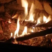 هیزم شومینه برای دور همی