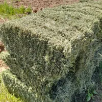 یونجه|لوازم جانبی حیوانات|حلب, |دیوار