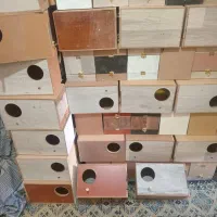 لانه عروس هلندی و لوازم پرنده تک وعمده
