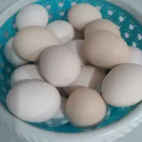 تخم مرغ محلی