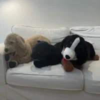 عروسک های ایکیا