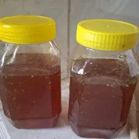 عسل طبیعی