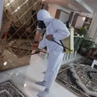 سم پاشی ساس سمپاشی سوسک حشرات ۱۰۰٪ تمام نقاط مشهد