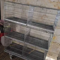 قفس شیش خان