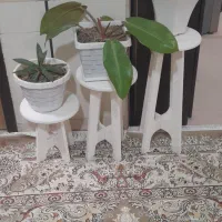 پایه گلدون همراه با گل