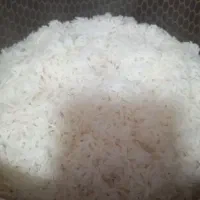 برنج دم سیاه کلات نادر