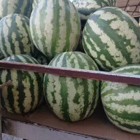به یک کارگر نیازمندیم