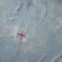 سفارش دوخت موسوم شال