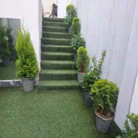 اجاره میز ناخن