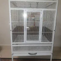 قفس پرنده