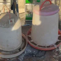 جا دانی و جا آبی مرغ