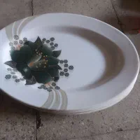 ظروف ملامین در حد نو
