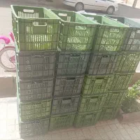 سبد گوجه