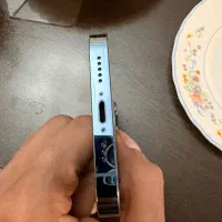 13pro256gig|موبایل|کرج, فاز ۳ گوهردشت|دیوار
