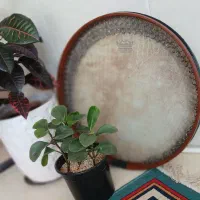 کلاس دف
