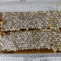 عسل بهاره ی جاشیر کوه دنا