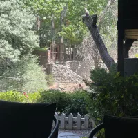 جذب نیروی سالنکار و غذابر