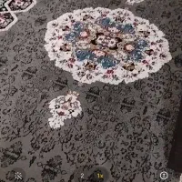 ۲ تخته فرش ۱۲ متری نگین مشهد باهم ۲۵ تومن