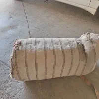 پالون  زین