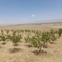 فروش-5هزار-متر-باغ-میوه-و-یک-چشمه-با-8-هکتار-زمین