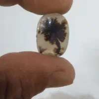 سنگ شجرقاین
