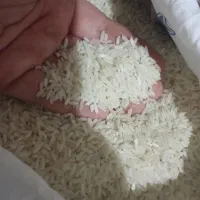 برنج طارم گرگان